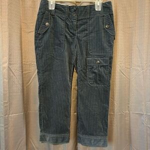 NWT Anthropologie Plus Four Riding Pants‎ +•••• Size 6